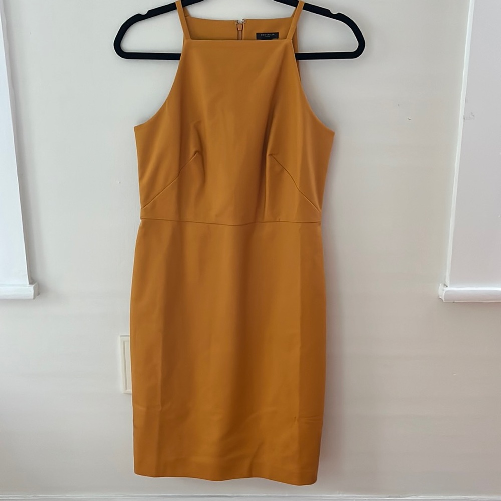 Ann Taylor dress - shift high neck cotton 2P petite